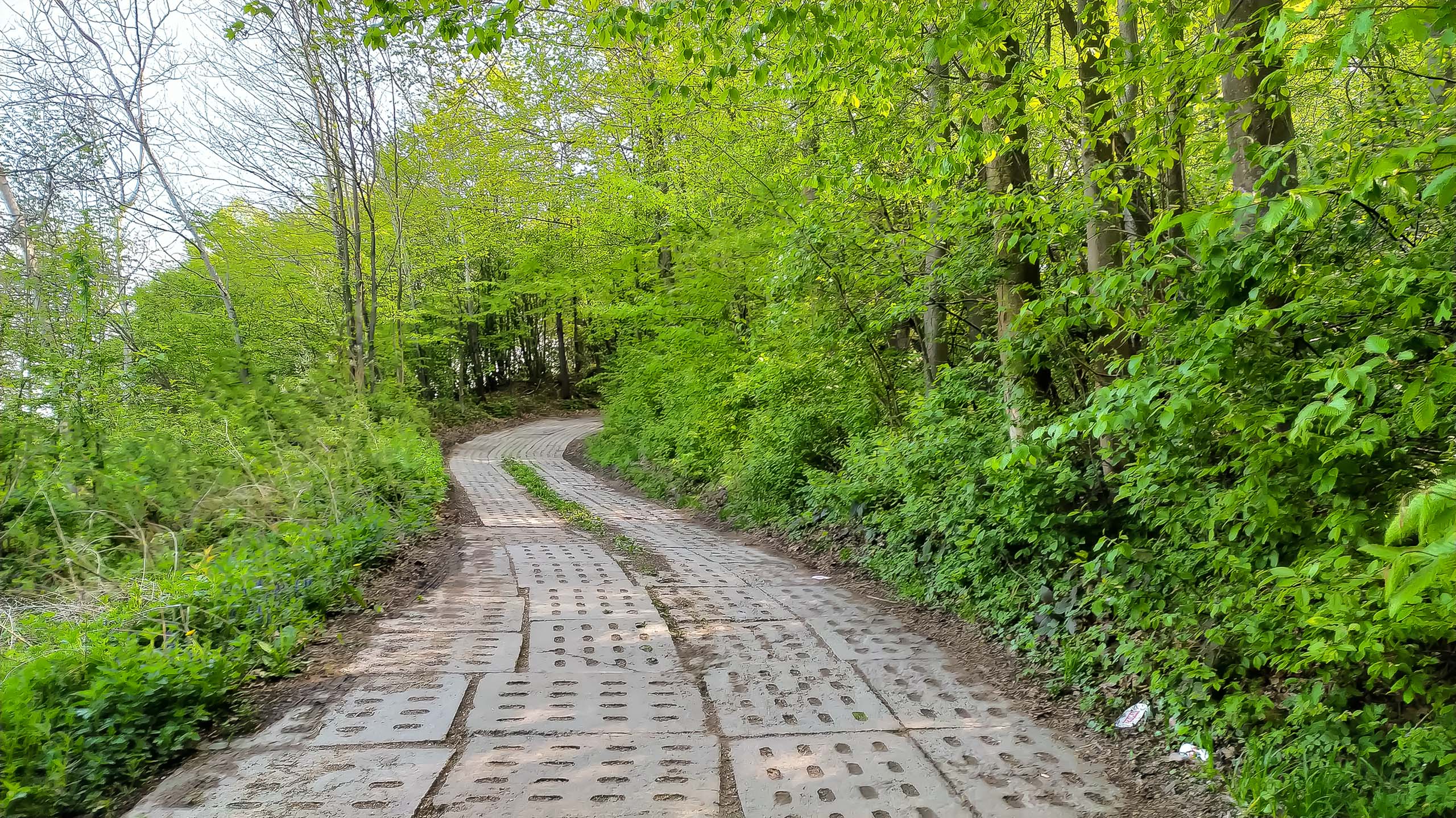 IMG 20200510 092822 kopia